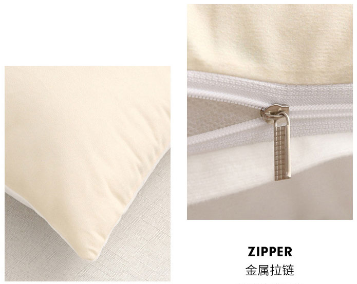 Cushion