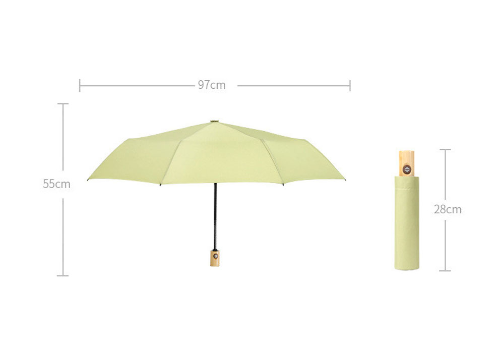 Mini Folded Umbrella