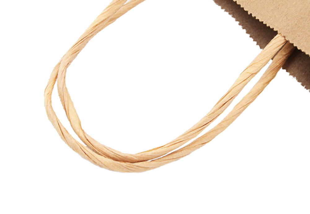 Recycle twisted Handle Paper Bags