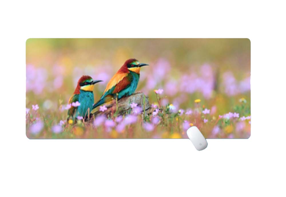 Hot Selling Large Nature Background Mouse Pad