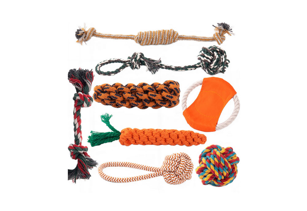 Pet chew toys Pet chew toys
