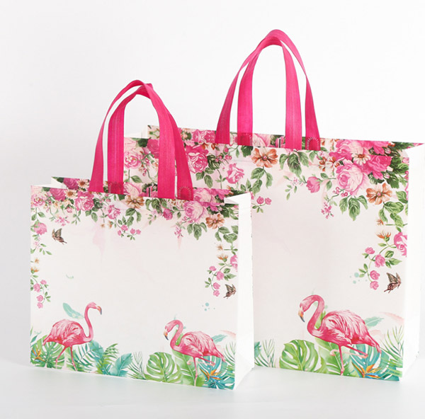 Shopping Bag