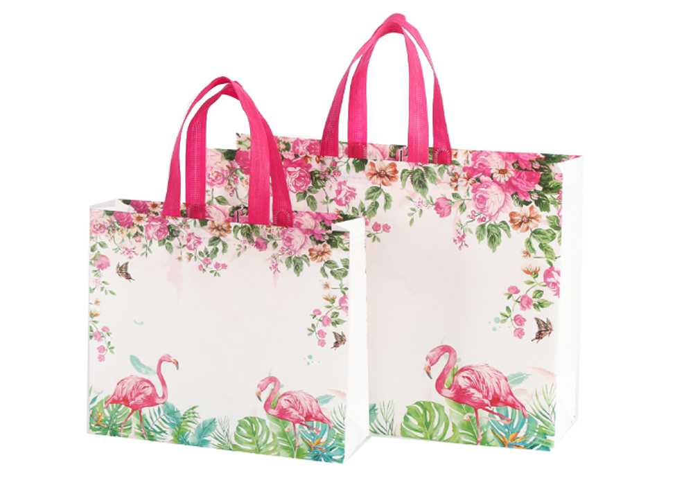 Shopping Bag