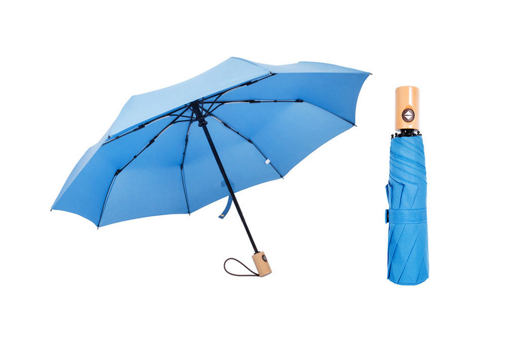 Mini Folded Umbrella